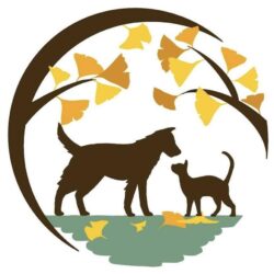 Ginkgo Veterinary Hospital